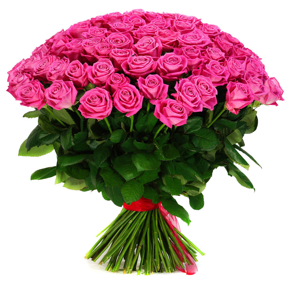 Luxurious Pink Roses Flower Bouquet. Medium size contains 12 large pink roses, Gypsophila, and fresh foliage Large size contains 24 large pink roses, Gypsophila, and fresh foliage Extra Large size contains 36 large pink roses, Gypsophila, and fresh foliage We deliver flowers throughout Dublin and Ireland.
