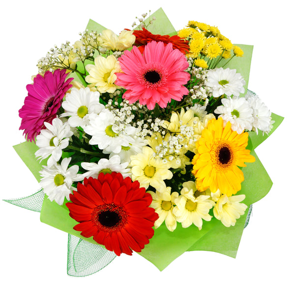A mixed bunch of seasonal blooms in reds, yellows, oranges, and whites. Flowers in the bunch may vary due to seasonal supply reasons. We deliver flowers throughout Dublin and Ireland. Please place your order by 1 pm for Same Day Flower Delivery Dublin or Next Day Flowers Delivery Ireland