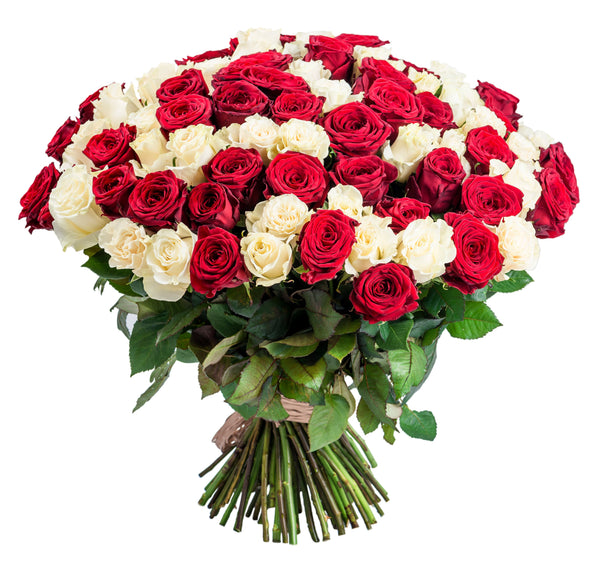 Large size contains a combination of 24 large red and white roses with Gypsophila and fresh foliage. Extra large size contains a combination of 48 large red and white roses with Gypsophila and fresh foliage. We deliver flowers throughout Dublin and Ireland.