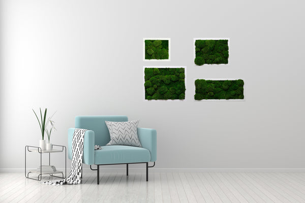 Moss Wall Art