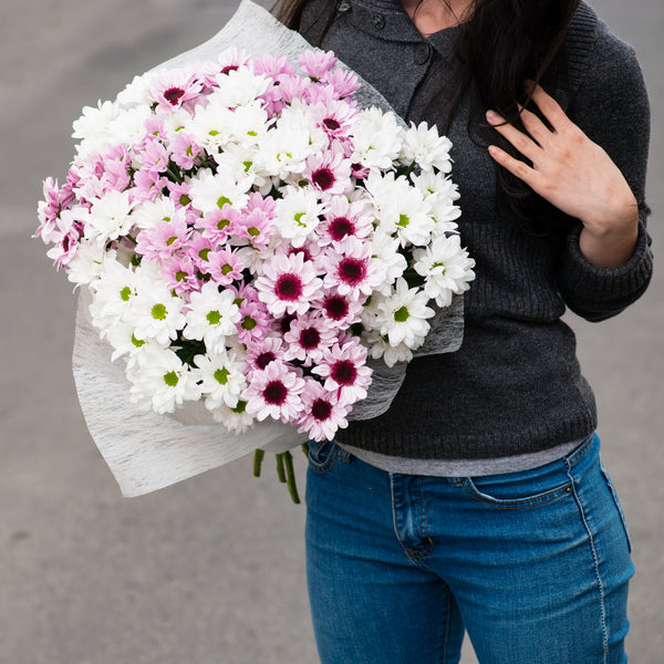 The Chrysanthemums are a real joy for their long-lasting bloom. They can last 3 weeks (or even longer).In Eastern culture, Chrysanthemum is a symbol of optimism which brings good luck into the home. Please place your order by 1 pm for Same Day Flower Delivery Dublin or Next Day Flowers Delivery Ireland