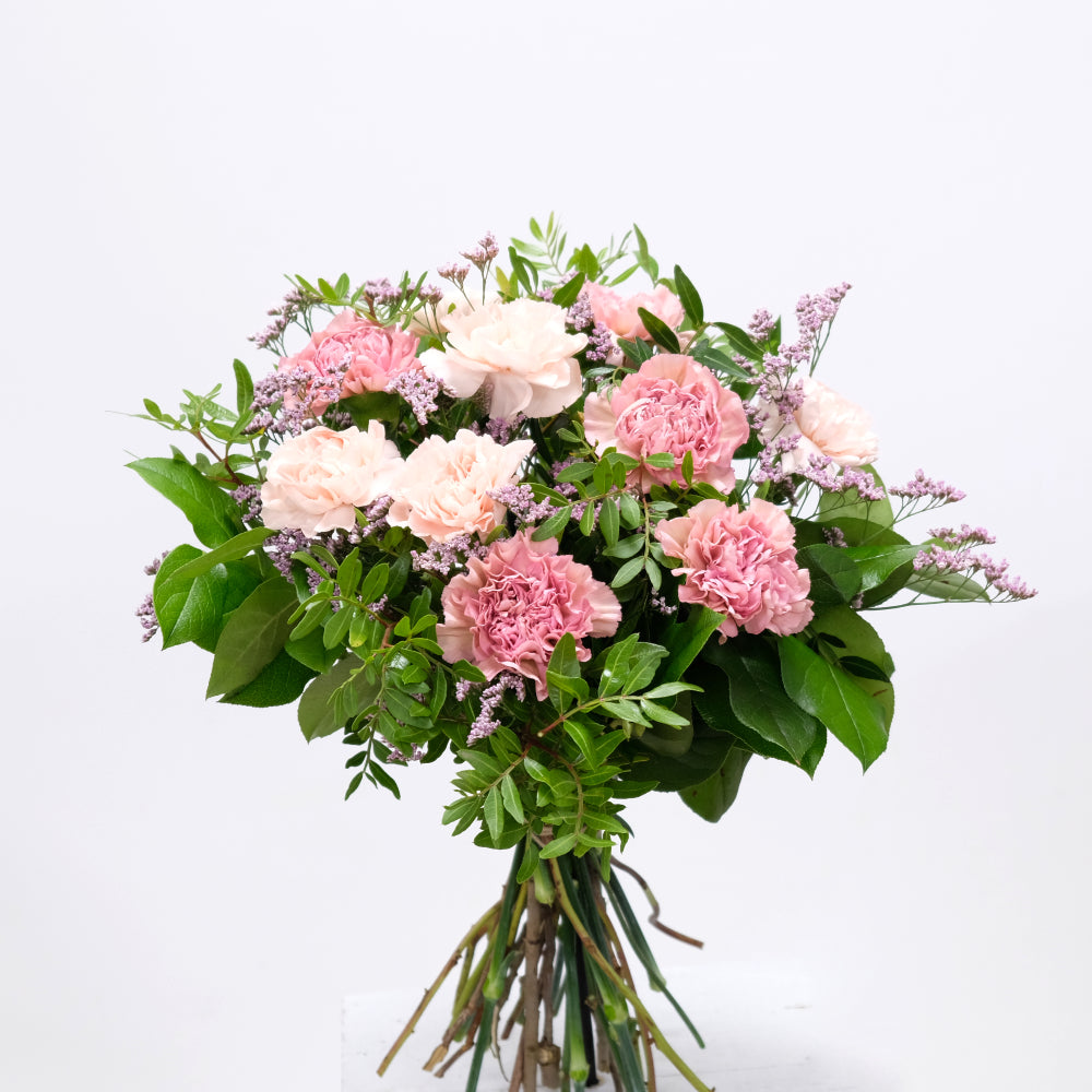 The Mix of Carnations Flower Bouquet including foliage and Gypsophila is a great choice for a long-lasting gift. Colours of Carnations may vary. We deliver flowers throughout Dublin and Ireland. Please place your order by 1 pm for Same Day Flower Delivery Dublin or Next Day Flowers Delivery Ireland